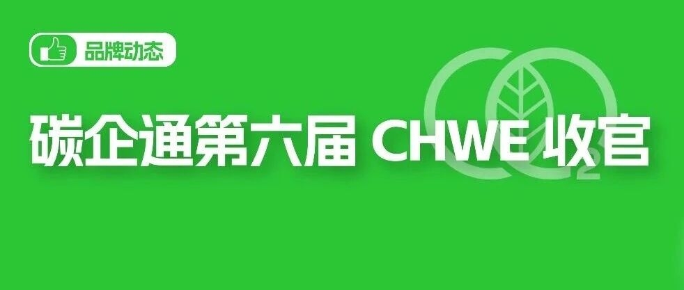 专业！碳企通第六届 CHWE 全球跨境电商展圆满收官
